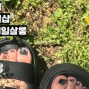 무니네일