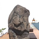 수석연합회 회원전 이미지