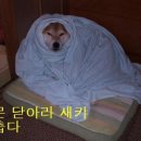 ㅎㅎㅎ