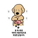퍼피하우스 | 여름휴가 어디로가지..? 멍비치 근처 양양 퍼피게스트하우스 가족여행 후기(대형견2마리/중형견1마리)