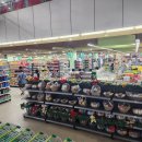 그랜드 오락실 이미지