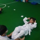 경희대 박사 엘리트 태권도장 이미지