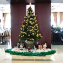 솔파인 레스토랑 이미지