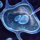 순수바이오 연구소 이미지