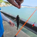 방파제 낚시 편의점 이미지