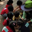 오금숲어린이집 이미지