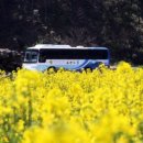 지에스(GS) 울릉도동점 이미지