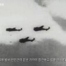 사진찍는날 Daum카페