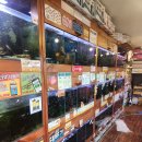 진흥종묘사 이미지