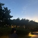 하하물산 이미지