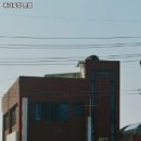 홍가짜장 - 서구 | 홍가짜장