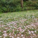 쏠티동산어린이집 이미지