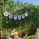 달밤한옥펜션 이미지