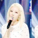 토닥토닥 Daum카페