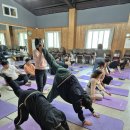 놀이체육 이미지