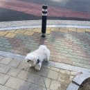 그루밍케이 이미지