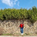 금계경로당 이미지