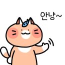 씨앤비교육컨설팅