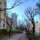 범계초등학교 뒤 이미지