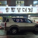 용두똥돼지