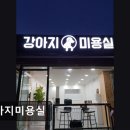 이다애견미용실 | {인천, 애견미용실, 추천!) 강아지미용실 인천 강아지미용실, 친절한 서비스