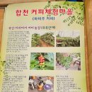 합천읍_영창리(배출하우스)_1 | 합천 가 볼 만한 곳
