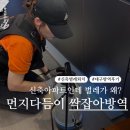 대구방역 | 신축아파트 먼지다듬이 싹잡아방역 대구 퇴치 성공 후기