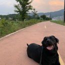 어나더 스위티 이미지