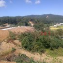 덕수리-4 이미지