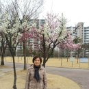 월함지