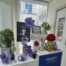 서구-2 | 광주 서구 에스테틱 등필링 2회차 효과 후기 <비비에스테틱>