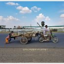 캄보디아 여행-장사장의 캄보디아 포토갤러리- " 참교육 " 이미지