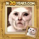 20년후 어플에 고양이 사진을 넣어 보았다.... 이미지