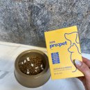 건강올인원