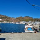 어촌일기호미곶 이미지