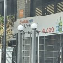 쉬림프마켓중문