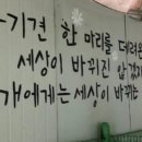 호 동물병원 이미지