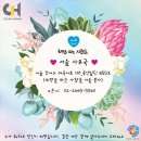 랑스마일치과 | [랑스마일치과] 병우형제 세번째 치과진료 후기 "치아를 뽑았어요"