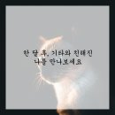 공감실용음악학원 이미지