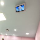 베베키즈헤어 네이버블로그