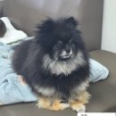 늘봄아로마테라피 이미지