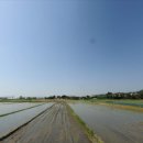 호재농장 이미지