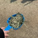 구례목장 이미지