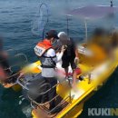 동해-단속-50 이미지