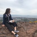 개나리꽃민박 이미지