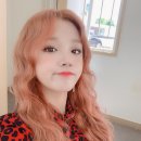 우기차니 이미지