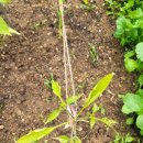 종합농약종묘사 이미지