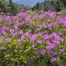 지리산허브벨리 이미지