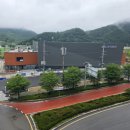대양체육관