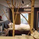 타히티모텔 이미지